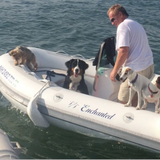 light grey 4.3m 6 persons heavy duty family PVC  rib boat hypalon RIB430A whole sale