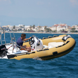 3.9m 5 persons fiberglass fishing PVC inflatable rib boat hypalon RIB390C for sale